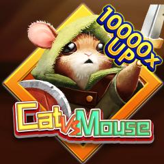 Cat VS Mouse