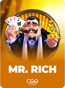 Mr Rich