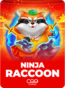 Ninja Raccoon