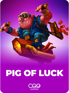 Pig Of Luck