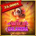Wild Calavera
